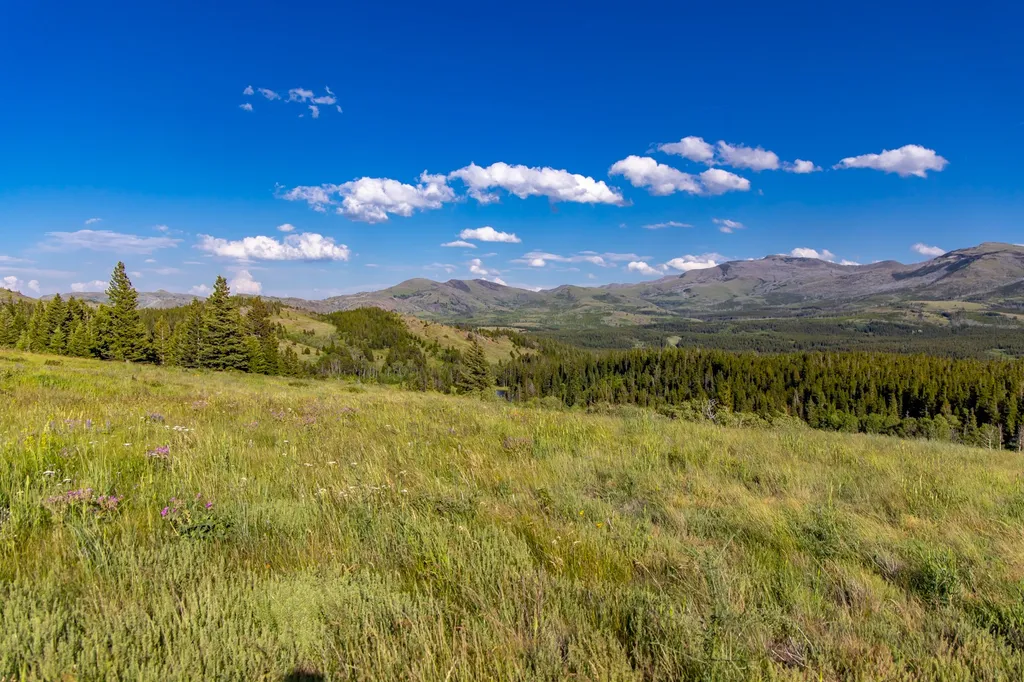 Nhn East Glacier Park East Glacier Park MT 59434