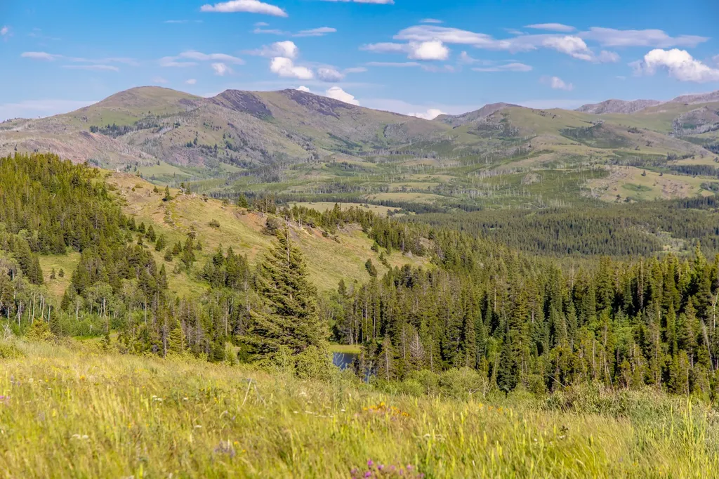 Nhn East Glacier Park East Glacier Park MT 59434