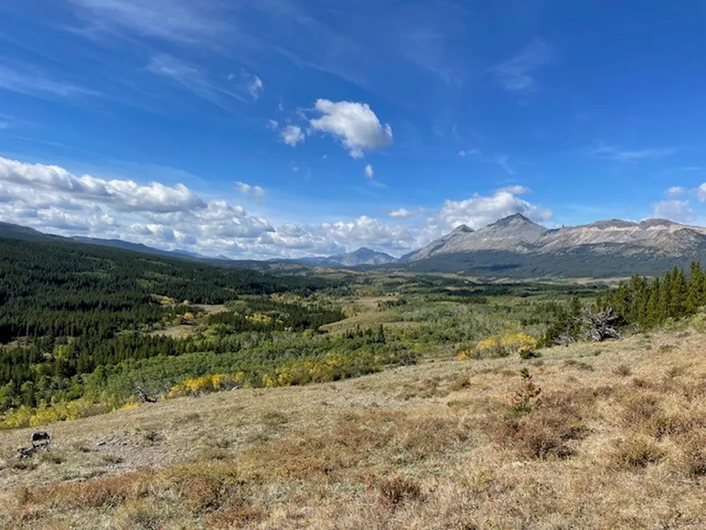 Nhn East Glacier Park East Glacier Park MT 59434