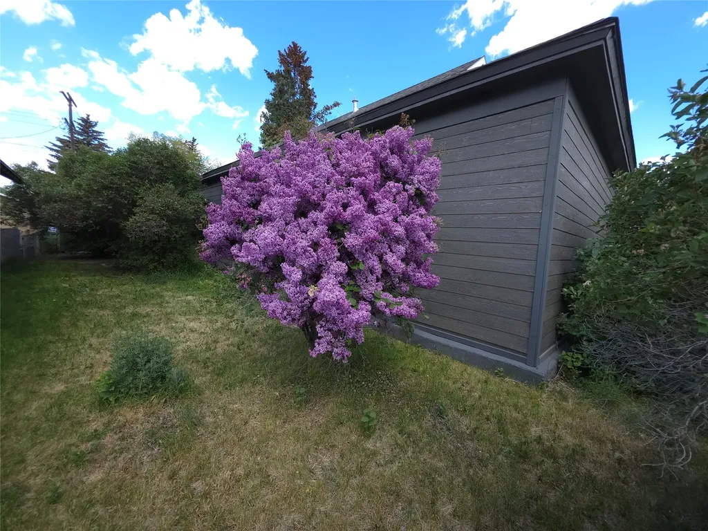 1926 George Street Butte MT 59701
