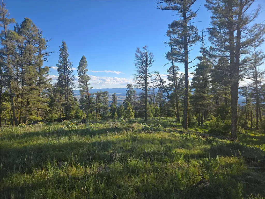 1 Big Sky Ridge Road Drummond MT 59832