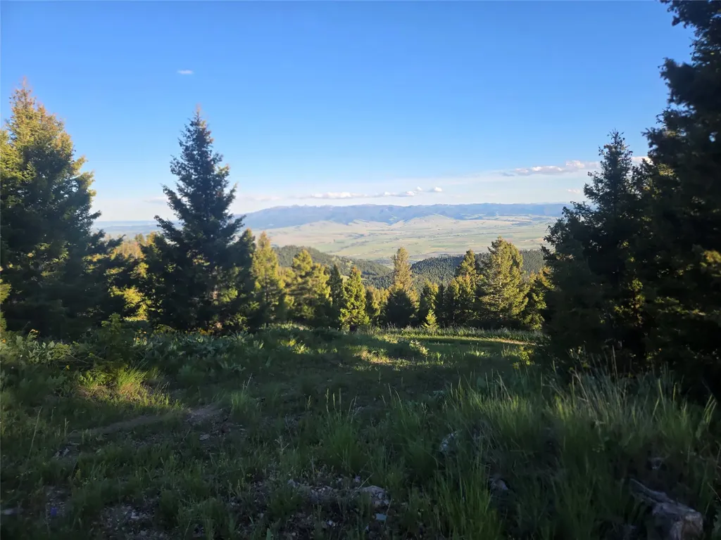 1 Big Sky Ridge Road Drummond MT 59832