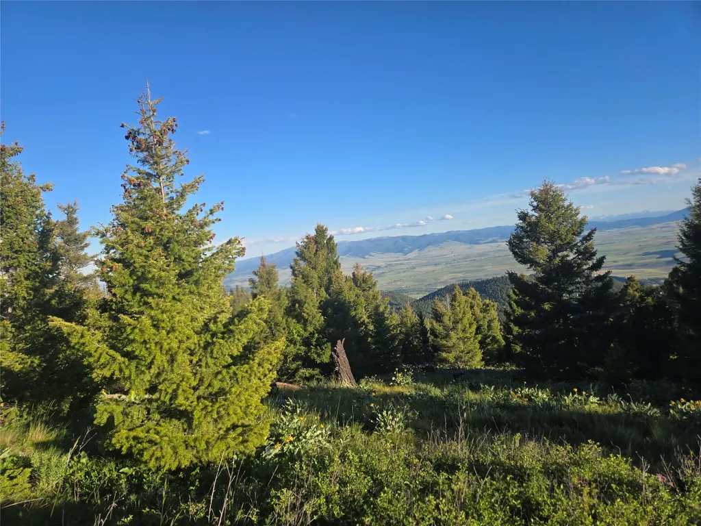 1 Big Sky Ridge Road Drummond MT 59832
