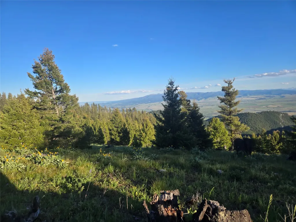 1 Big Sky Ridge Road Drummond MT 59832