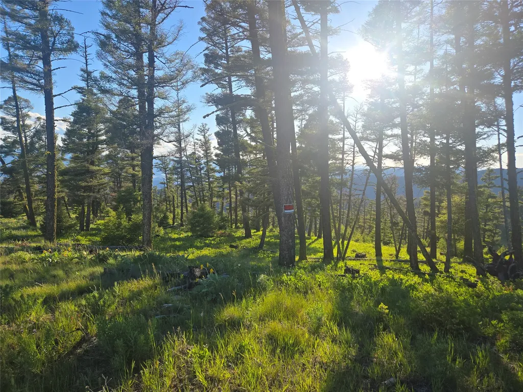 1 Big Sky Ridge Road Drummond MT 59832