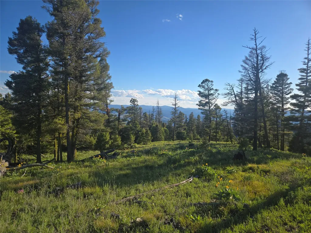 1 Big Sky Ridge Road Drummond MT 59832