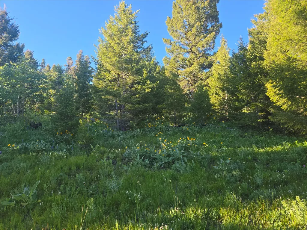 1 Big Sky Ridge Road Drummond MT 59832