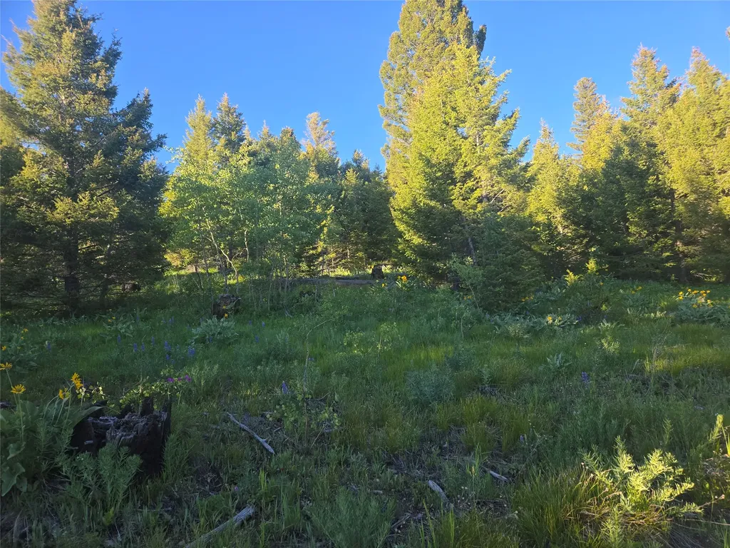 1 Big Sky Ridge Road Drummond MT 59832