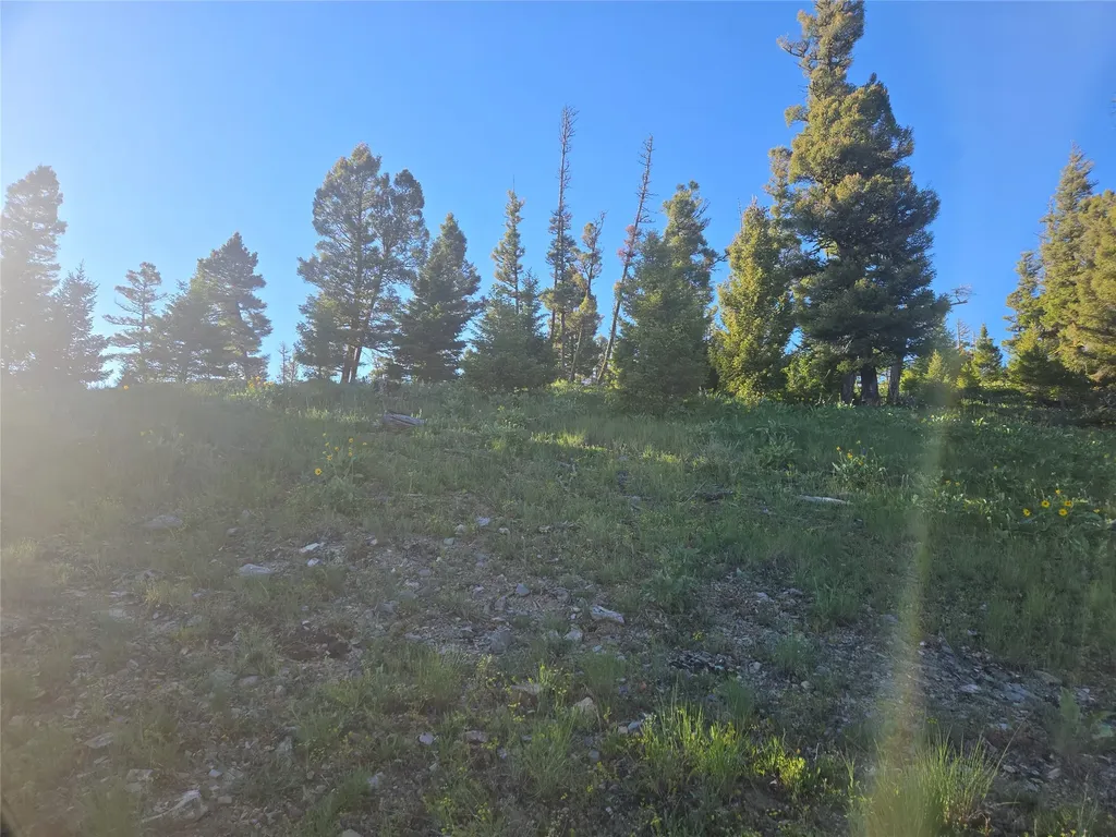 1 Big Sky Ridge Road Drummond MT 59832