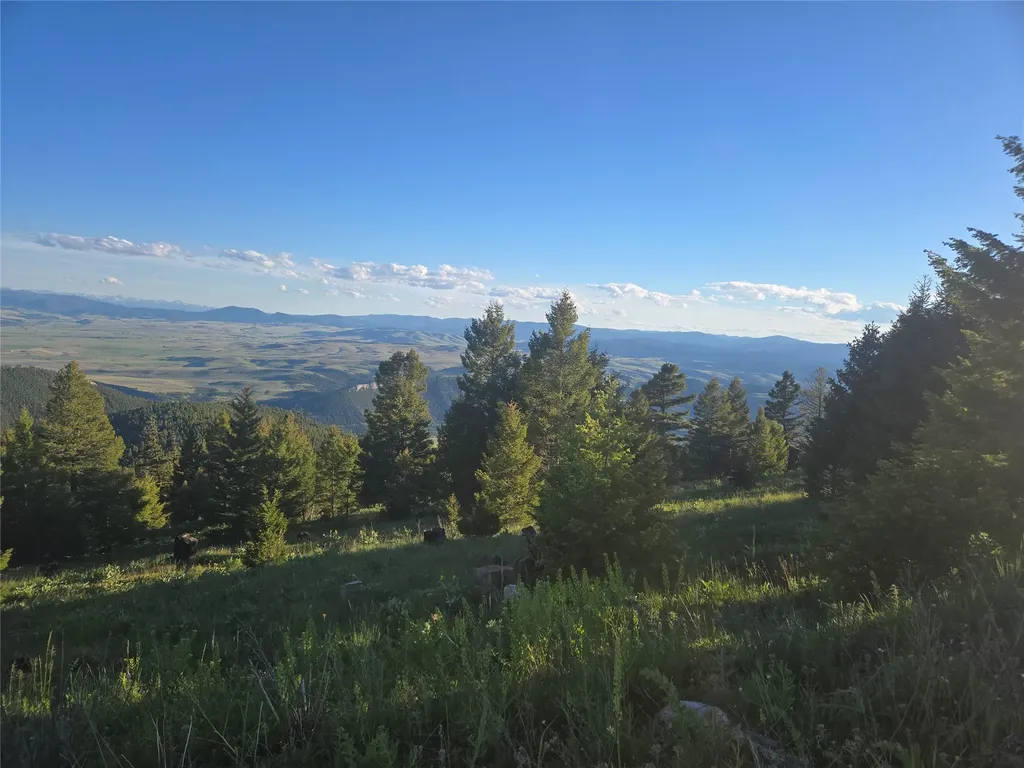1 Big Sky Ridge Road Drummond MT 59832
