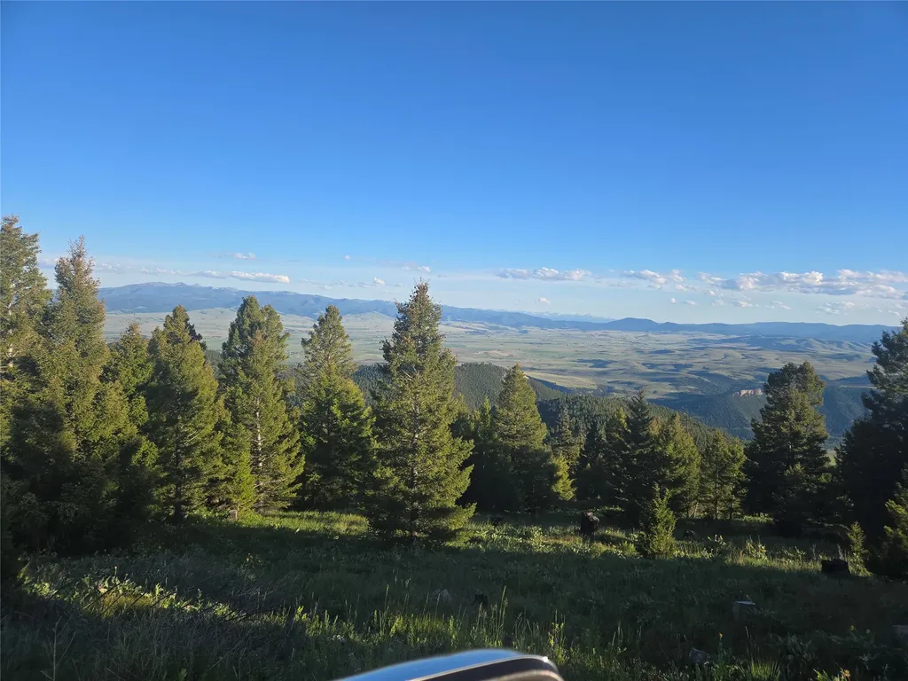 1 Big Sky Ridge Road Drummond MT 59832