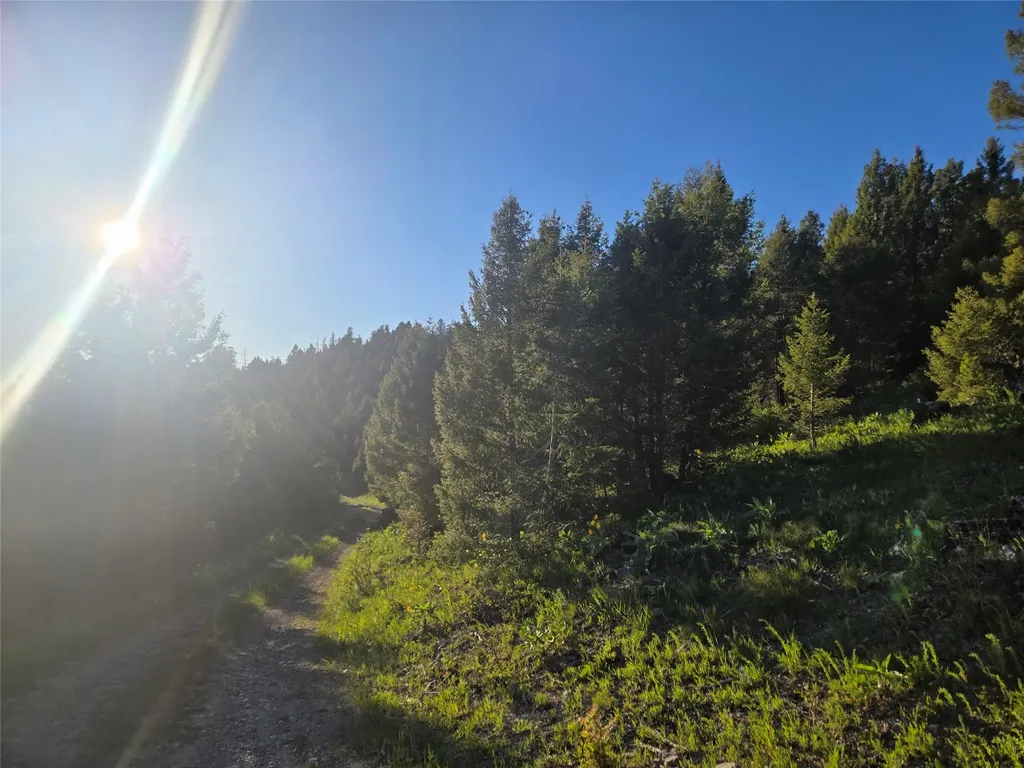1 Big Sky Ridge Road Drummond MT 59832