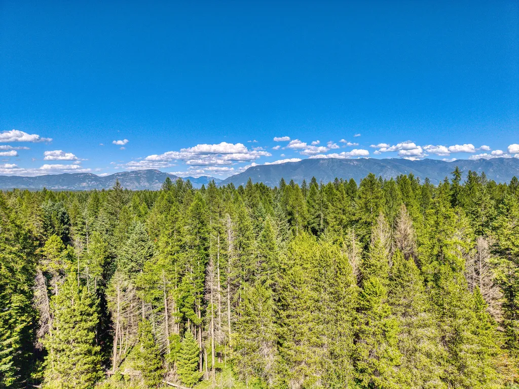 219 Kinnikinnick Lane Columbia Falls MT 59912
