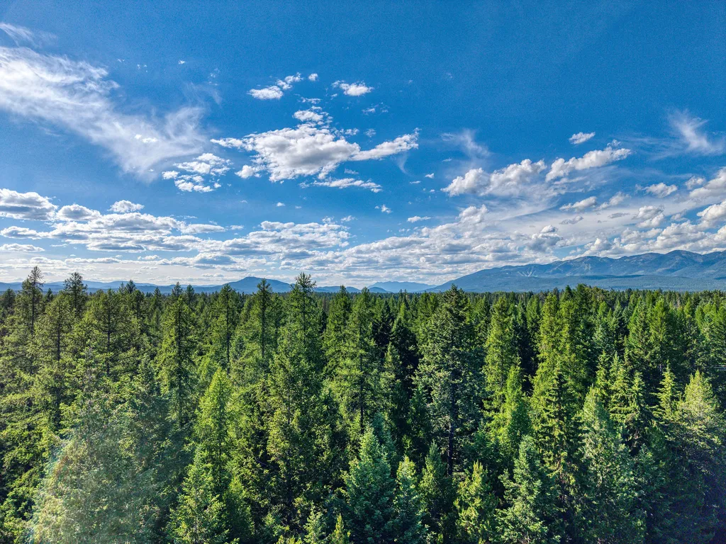 219 Kinnikinnick Lane Columbia Falls MT 59912