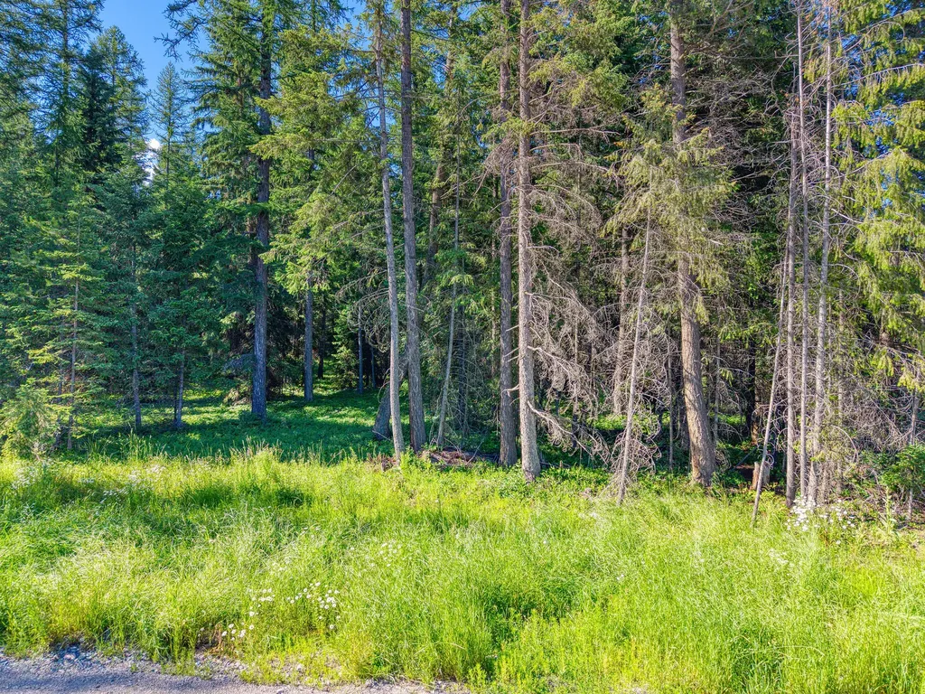 219 Kinnikinnick Lane Columbia Falls MT 59912