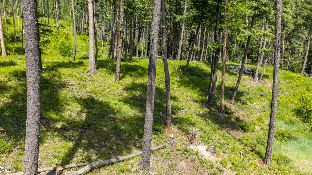 3621 E Lakeshore Drive Whitefish MT 59937