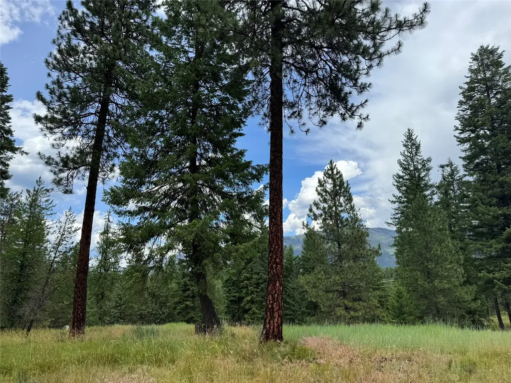 Lot 7 Mossy Rock Court Thompson Falls MT 59873