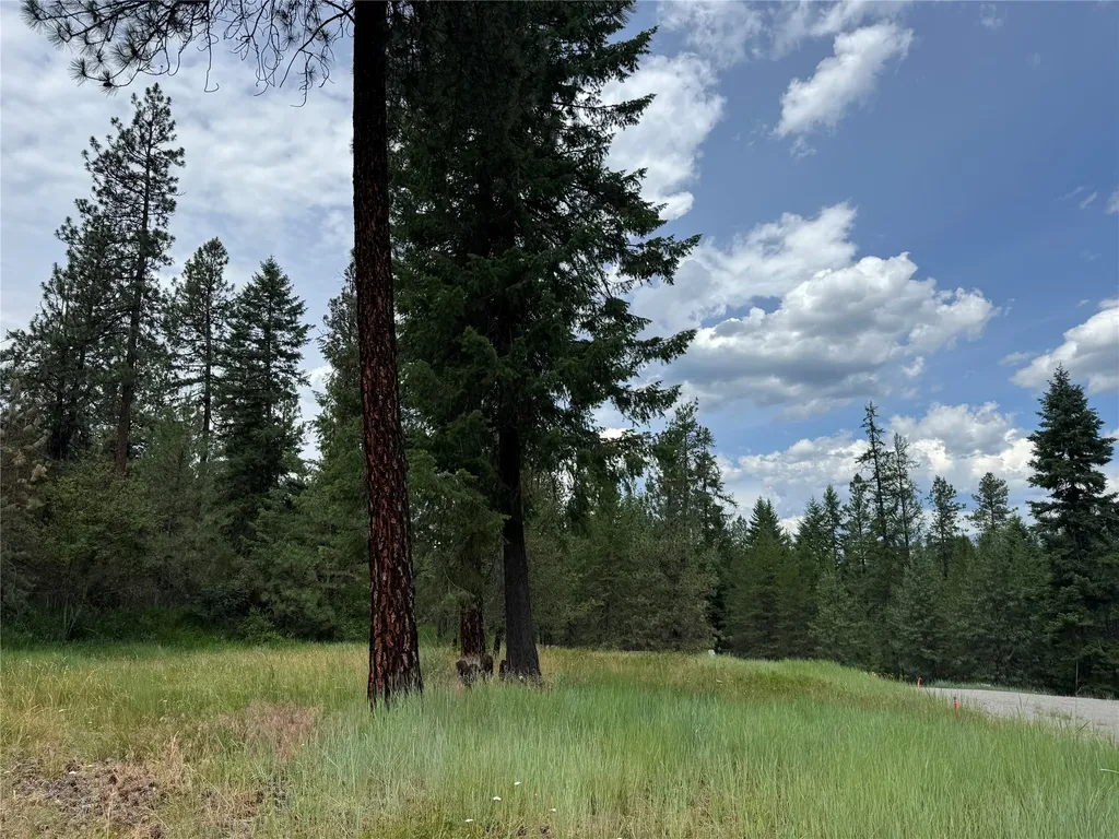 Lot 7 Mossy Rock Court Thompson Falls MT 59873
