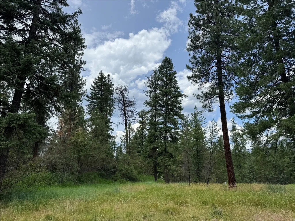 Lot 7 Mossy Rock Court Thompson Falls MT 59873
