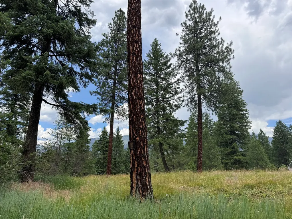 Lot 7 Mossy Rock Court Thompson Falls MT 59873