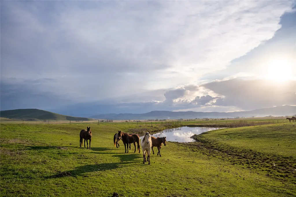 41263 Forman Road Polson MT 59860