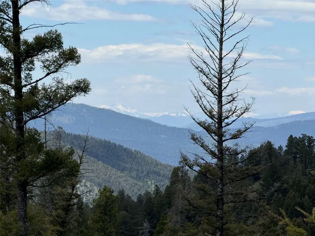207 Ridgetop Lane Helmville MT 59843
