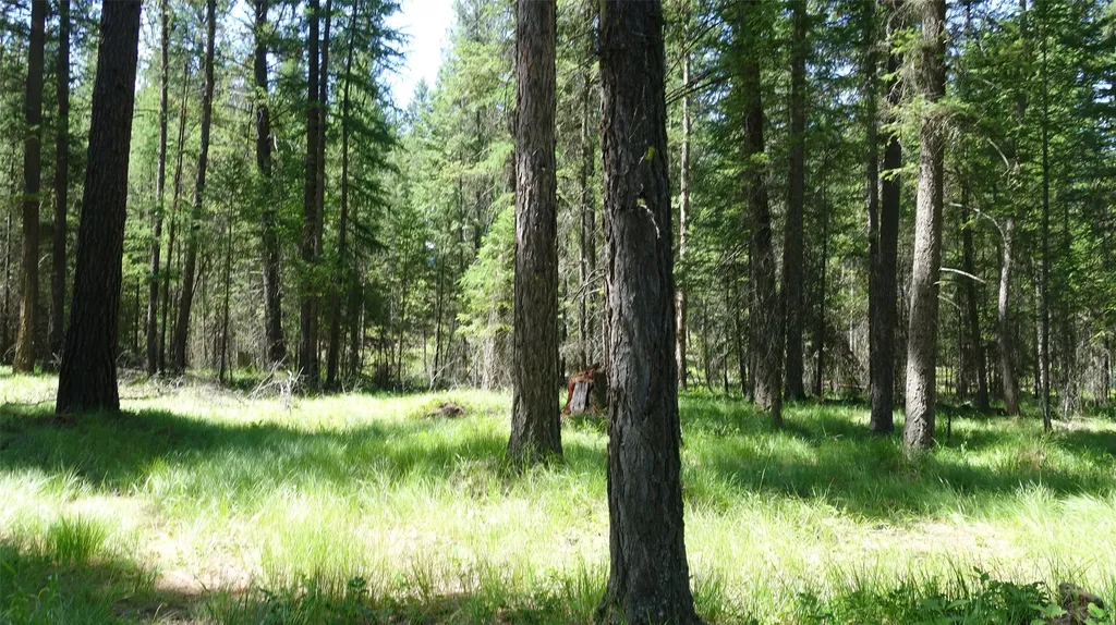 00 Skyline Way Libby MT 59923