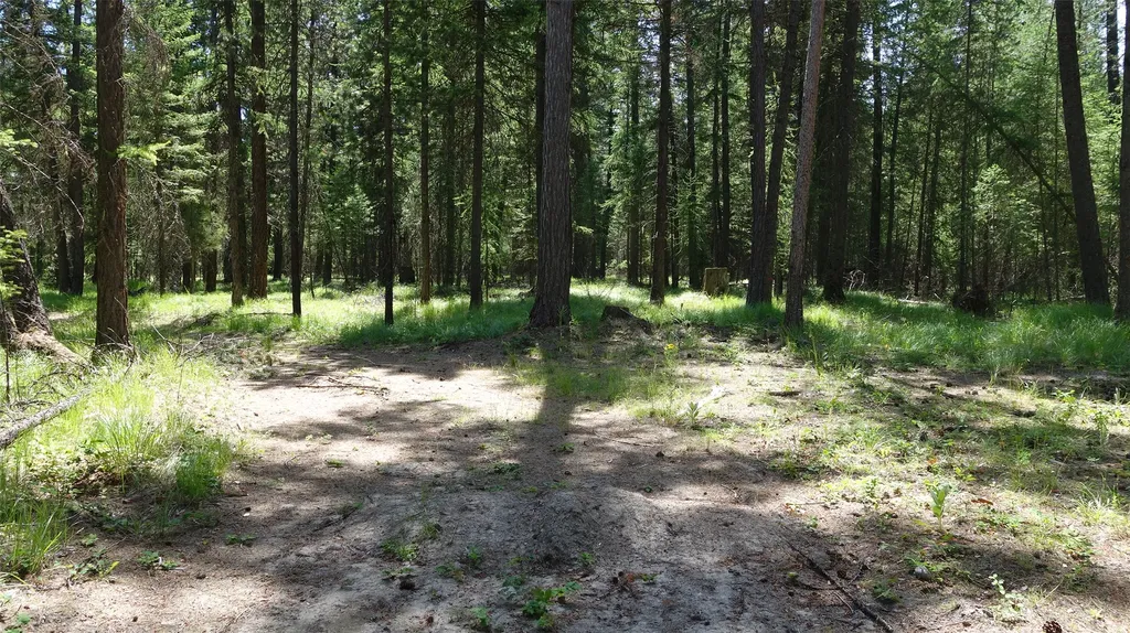 00 Skyline Way Libby MT 59923