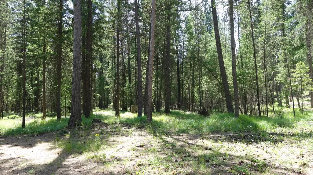 00 Skyline Way Libby MT 59923
