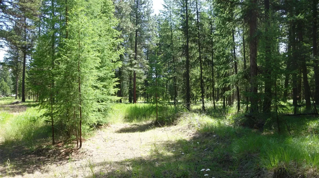 00 Skyline Way Libby MT 59923