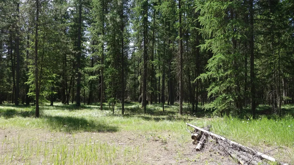 00 Skyline Way Libby MT 59923