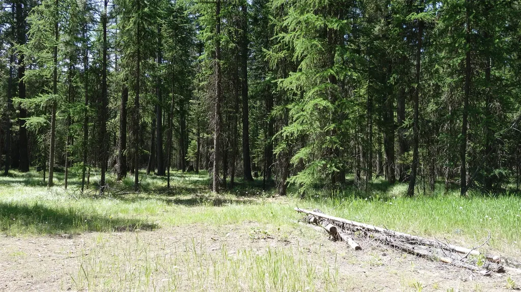 00 Skyline Way Libby MT 59923