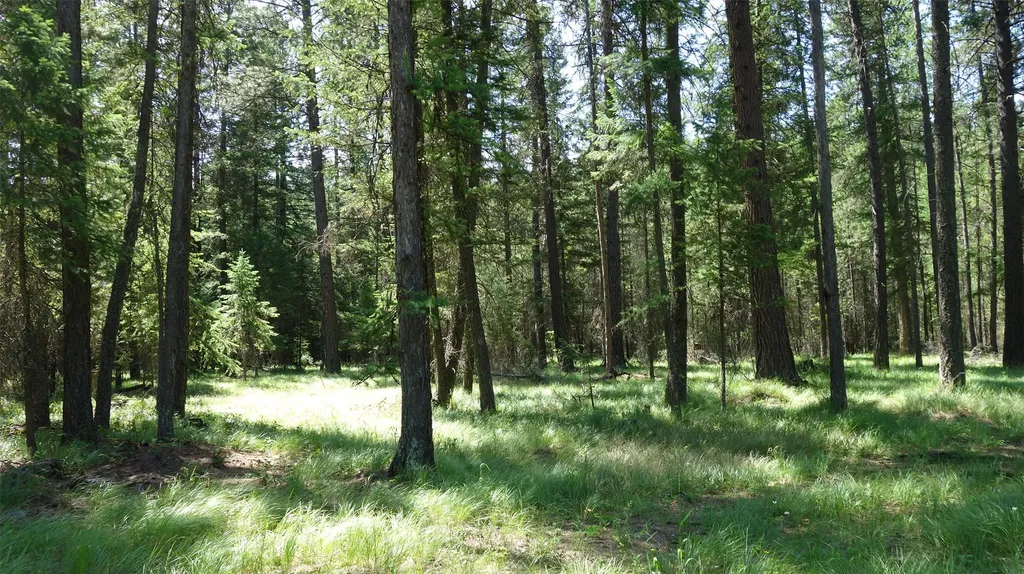 00 Skyline Way Libby MT 59923