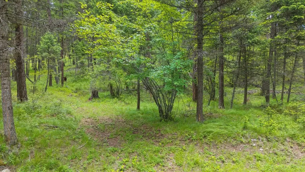 139 Little Mountain Lane Whitefish MT 59937