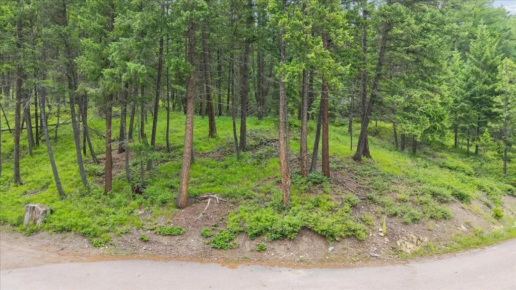 139 Little Mountain Lane Whitefish MT 59937