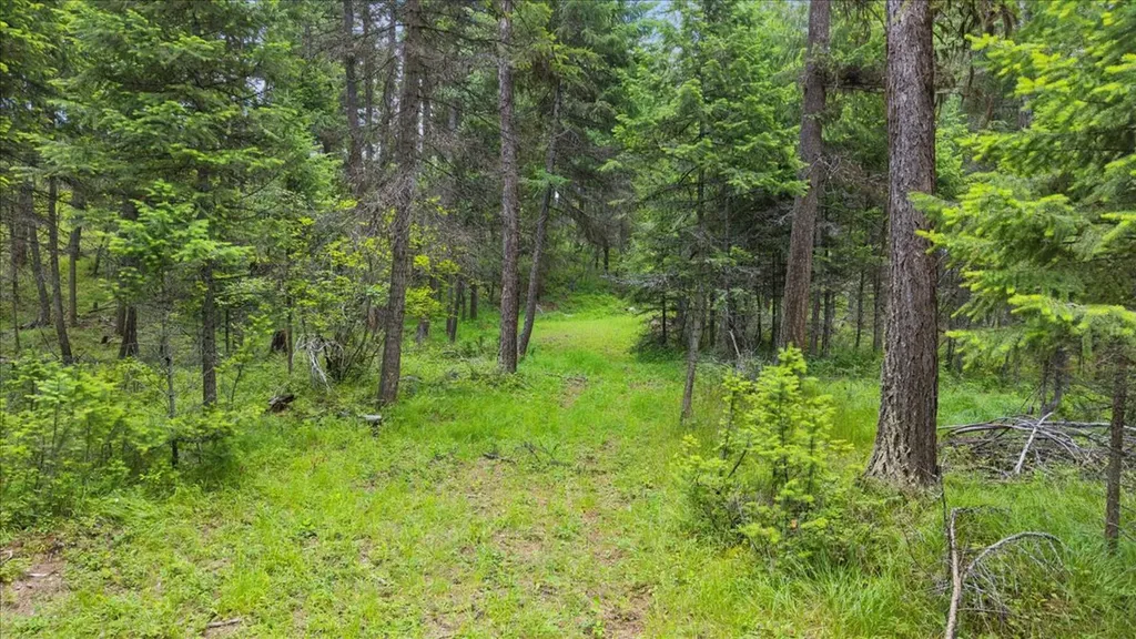 139 Little Mountain Lane Whitefish MT 59937