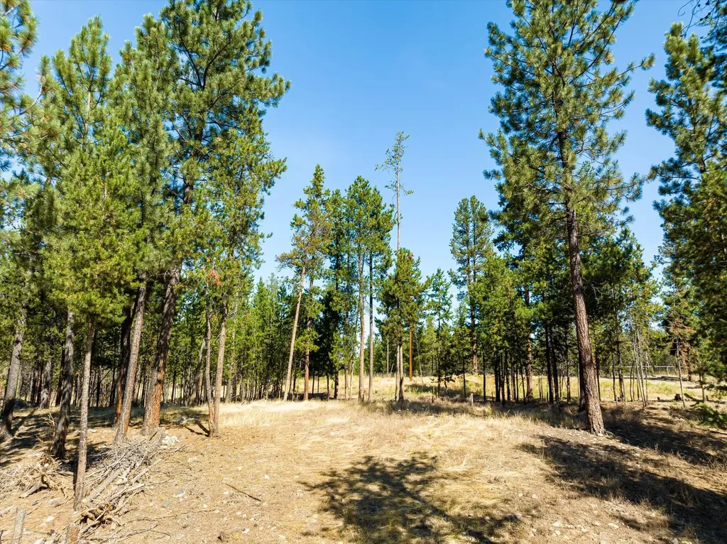 506 Badger Hollow Trail Marion MT 59925