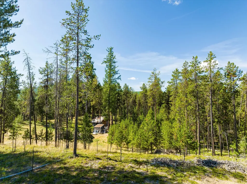 506 Badger Hollow Trail Marion MT 59925
