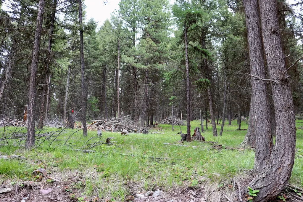 1016 Grandview Drive Seeley Lake MT 59868