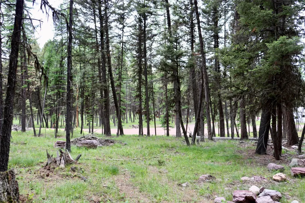 1016 Grandview Drive Seeley Lake MT 59868