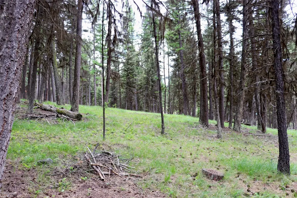 1016 Grandview Drive Seeley Lake MT 59868