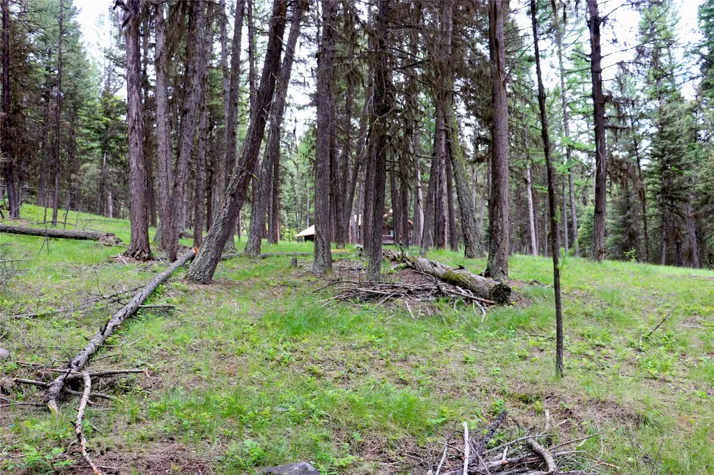 1016 Grandview Drive Seeley Lake MT 59868