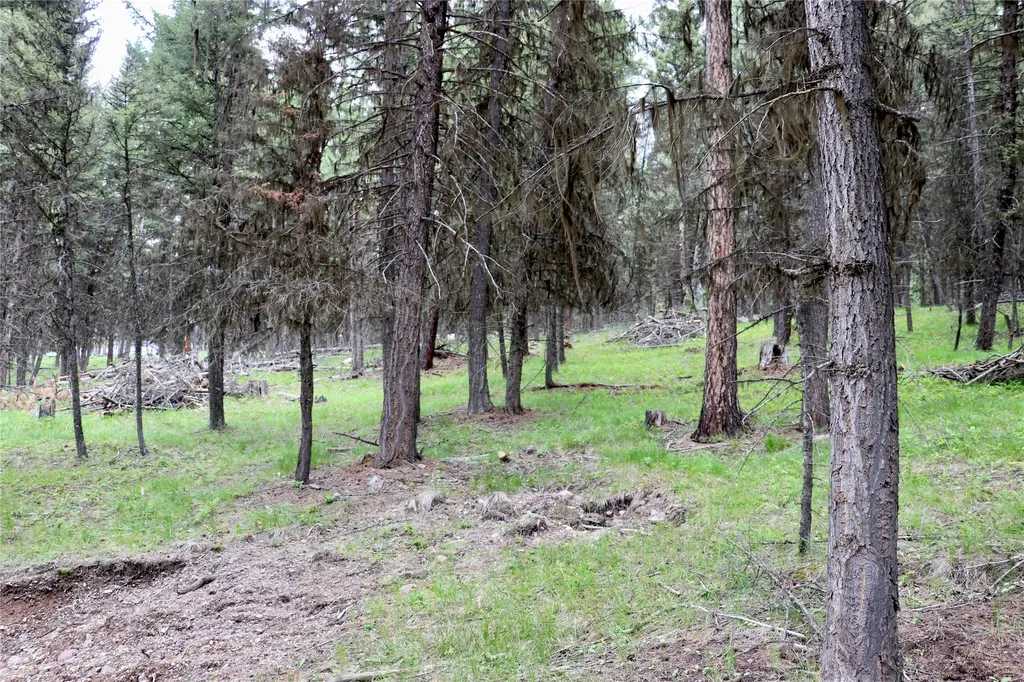 1016 Grandview Drive Seeley Lake MT 59868