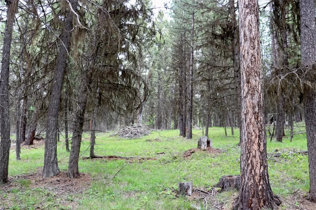 1016 Grandview Drive Seeley Lake MT 59868