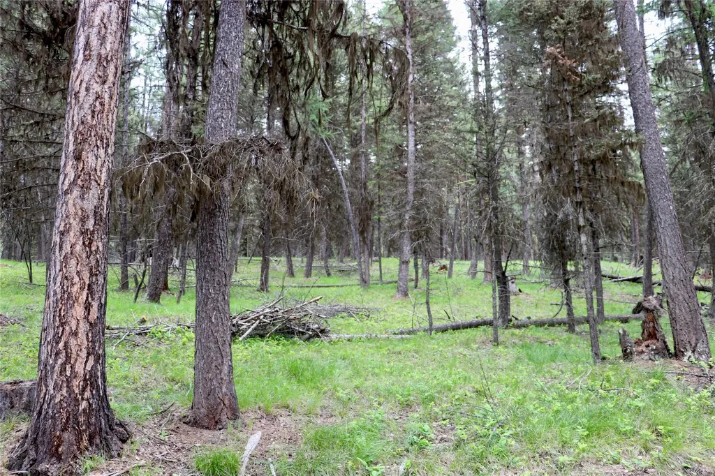 1016 Grandview Drive Seeley Lake MT 59868