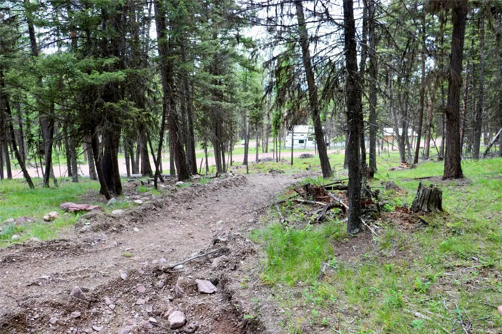 1016 Grandview Drive Seeley Lake MT 59868