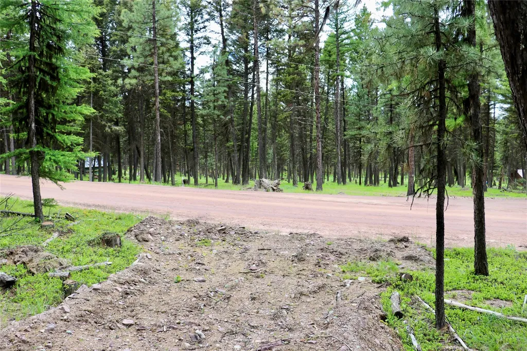 1016 Grandview Drive Seeley Lake MT 59868
