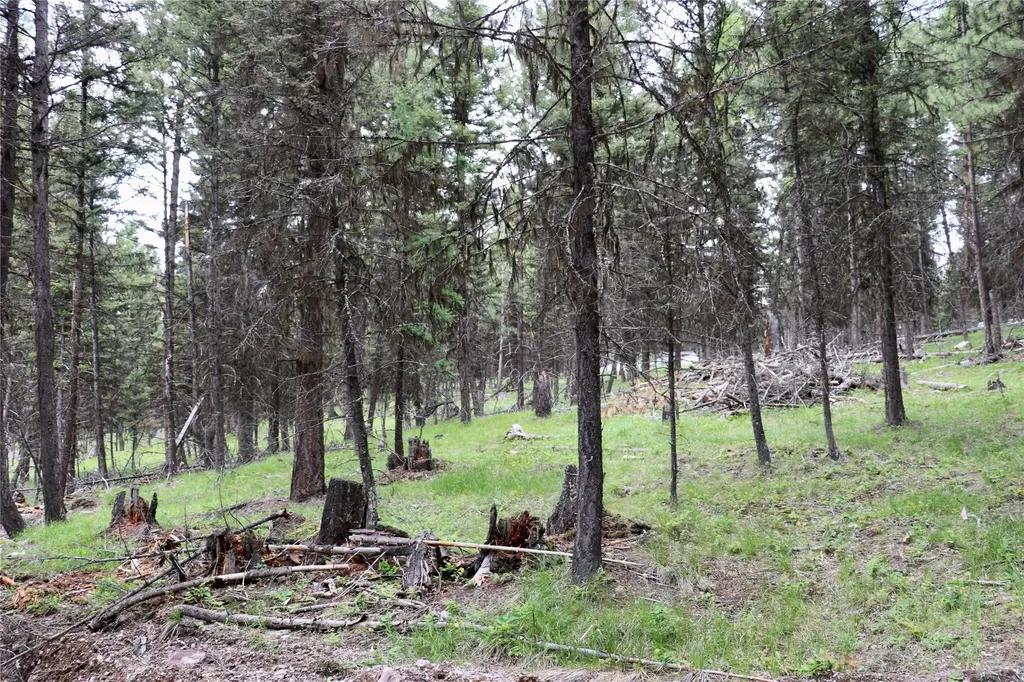 1016 Grandview Drive Seeley Lake MT 59868