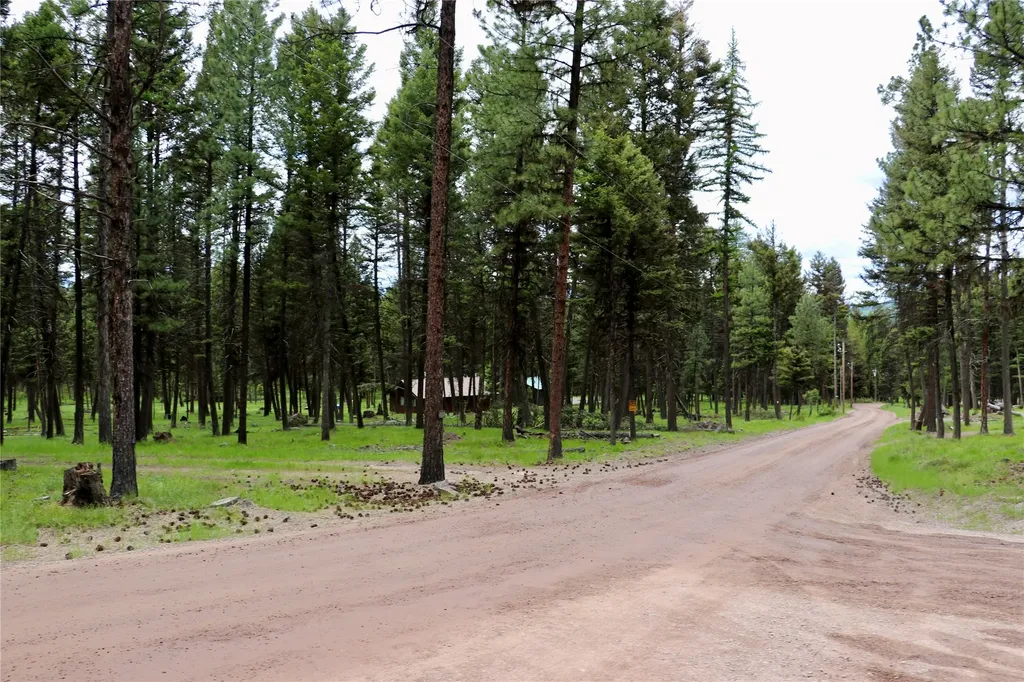 1016 Grandview Drive Seeley Lake MT 59868