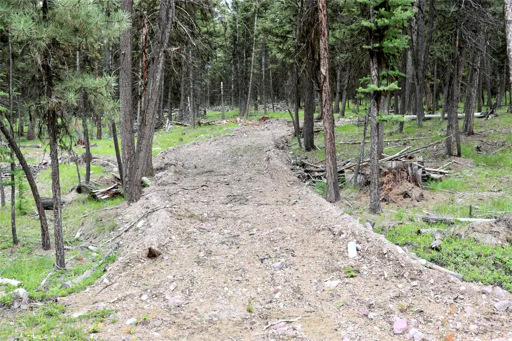 1016 Grandview Drive Seeley Lake MT 59868